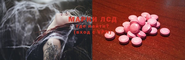 ПСИЛОЦИБИНОВЫЕ ГРИБЫ Няндома