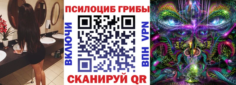 что такое   Зеленодольск  это телеграм  Псилоцибиновые грибы GOLDEN TEACHER 